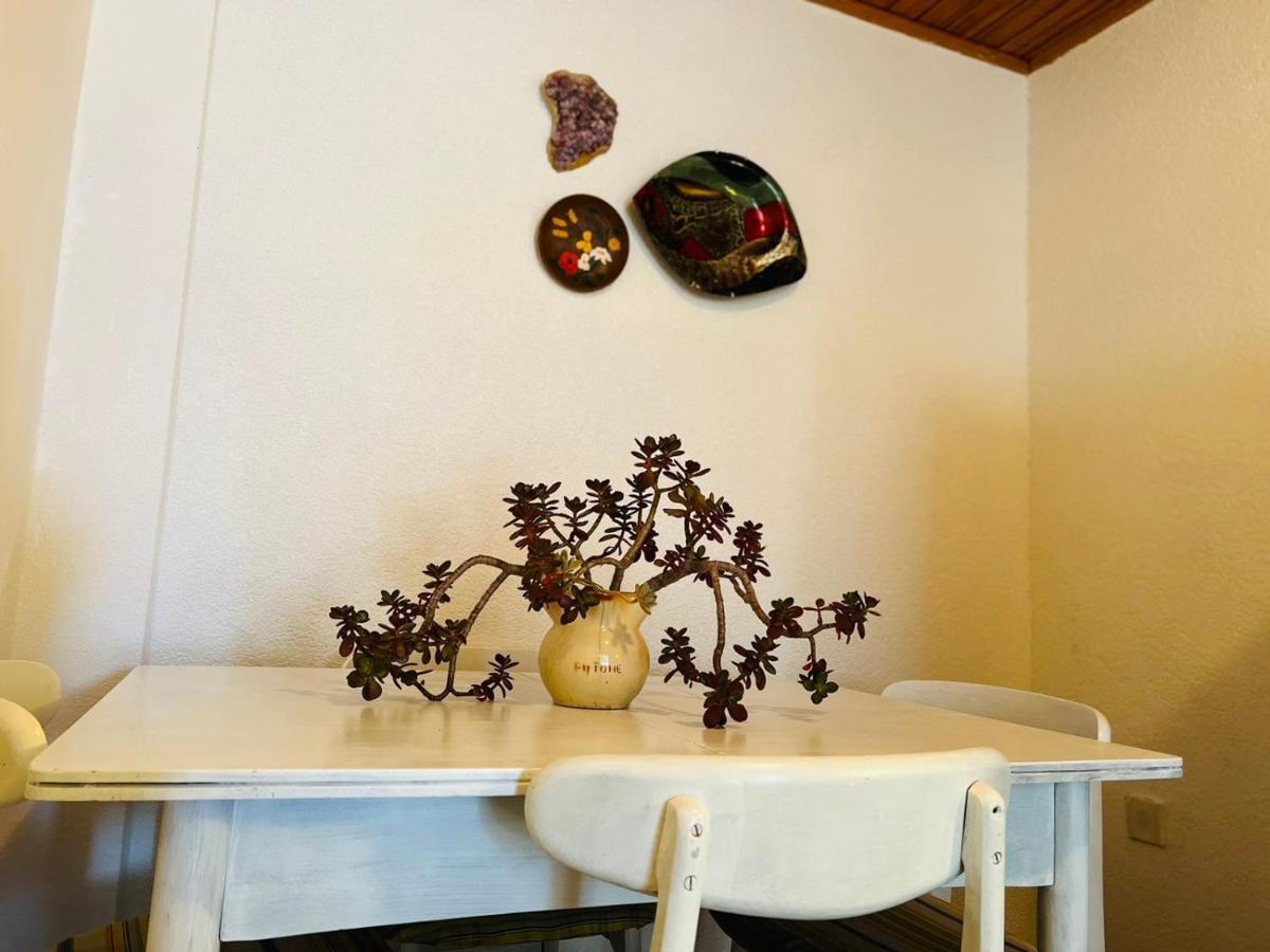 Sea Breeze Apartments With Private Beach And Boat Anchorage Stara Novalja Exterior foto